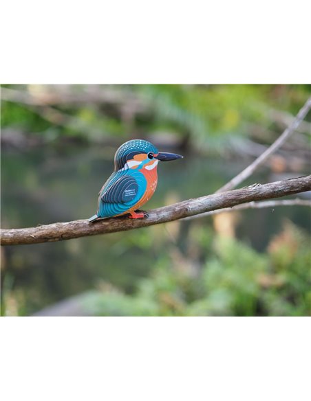 Eugy 3D Modèle: OISEAU - MARTIN-PÊCHEUR