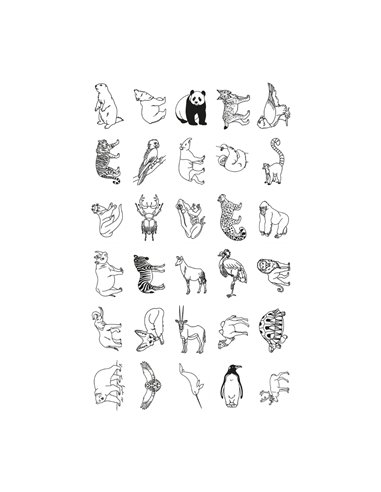 REFIL KIDYDRAW-MINI dessins "animaux autour du monde" et "oceans et pirates" - kidywolf