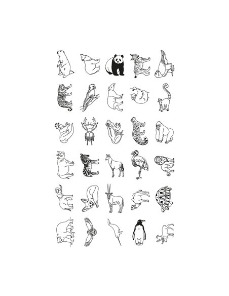 REFIL KIDYDRAW-MINI dessins "animaux autour du monde" et "oceans et pirates" - kidywolf