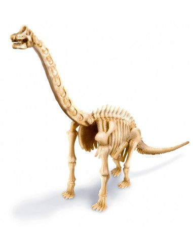Deterre ton dinosaure (brachiosaure)