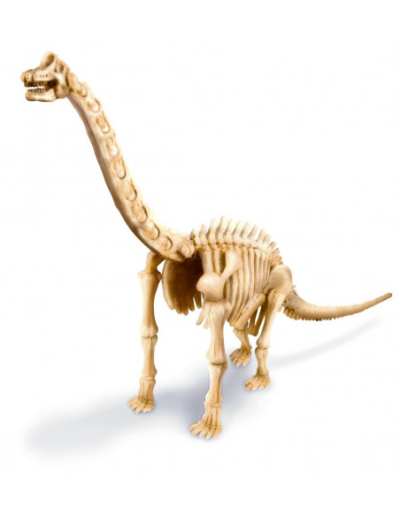 Deterre ton dinosaure (brachiosaure)
