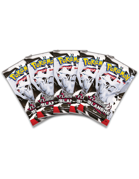 Pokémon EV10.5 : Portfolio(A4) + 5 boosters Flamme Blanche