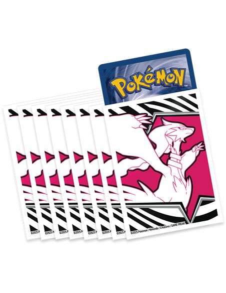 Pokémon EV10.5 : Coffret Dresseur d'Elite Flamme Blanche