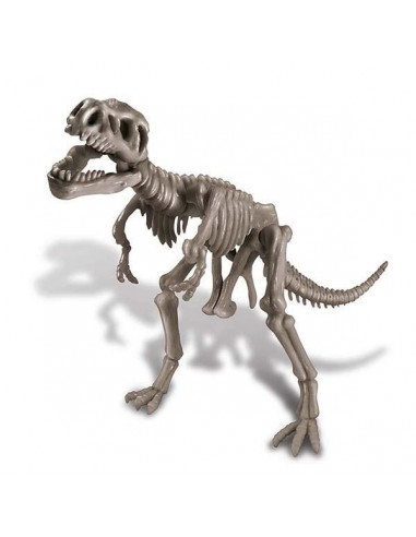 Tyrannosaure rex deterre ton dinosaure