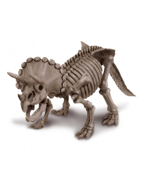 Tricératops deterre ton dinosaure