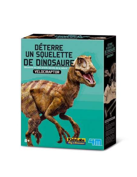 Vélociraptor deterre ton dinosaure