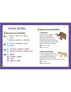 Les héros du CE1 - Niveau 2 - Une rencontre préhistorique 2