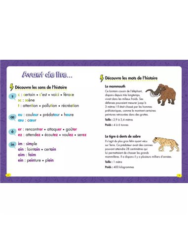 Les héros du CE1 - Niveau 2 - Une rencontre préhistorique