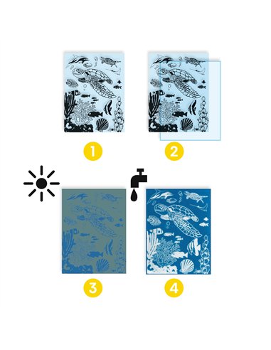 CYANOTYPES - Outremer - djeco