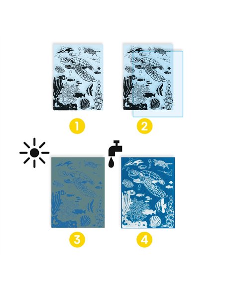 CYANOTYPES - Outremer - djeco