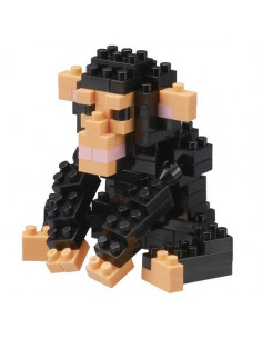 Chimpanzee