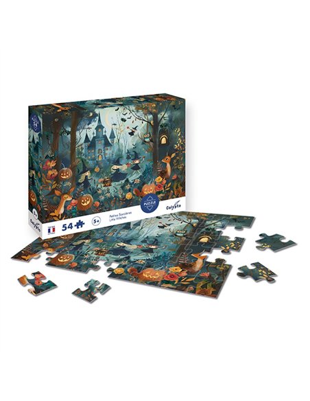 PUZZLE 1000 P PAYSAGE Les Falaises d'Etretat - Normandie