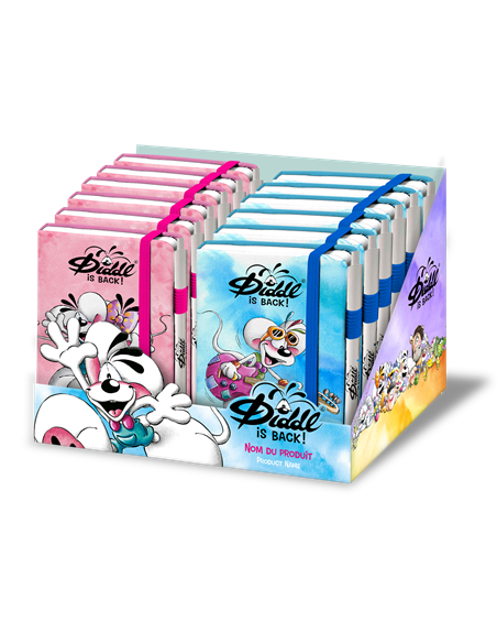 Set Carnet + Stylo A6 Diddl