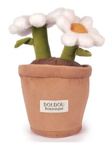 Doudou Botanique - Marguerite 25cm
