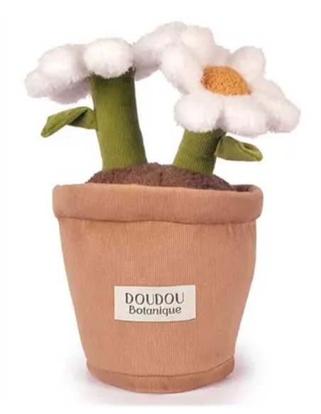 Doudou Botanique - Marguerite 25cm