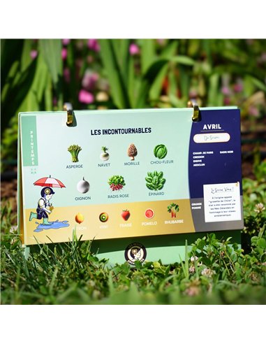 Calendrier GENIUS - genius cut - les petits architectes