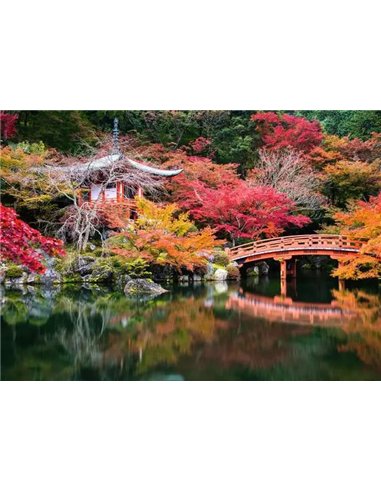 Puzzle 1000 pièces - Le Daigo-ji, Kyoto, Japon - ravensburger