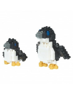 Fairy penguins 2