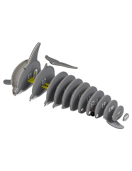 Eugy 3D Modèle: ANIMAL MARIN DAUPHIN