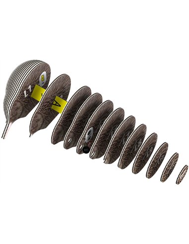 Eugy 3D Modèle: OISEAU KIWI BRUN