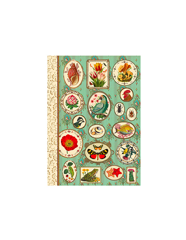 CARNET MOTS DE PASSE - nature - gwenaelle Trolez