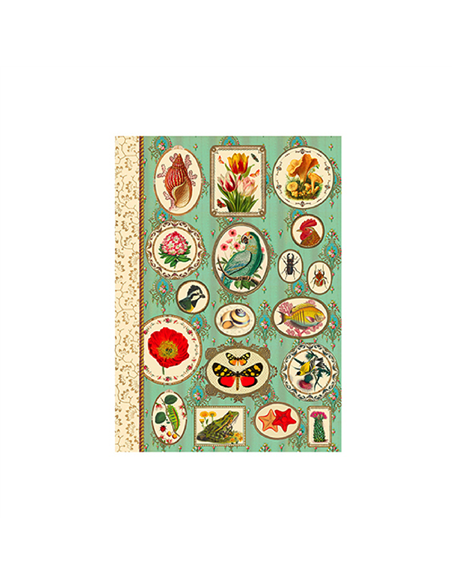 CARNET MOTS DE PASSE - nature - gwenaelle Trolez