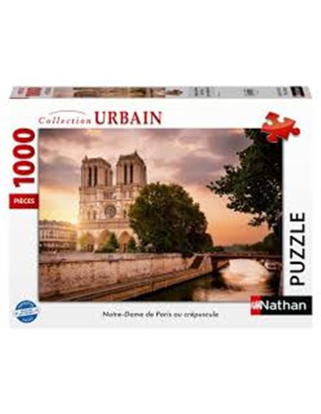 Pz Notre-Dame crépuscule 1000p -nathan
