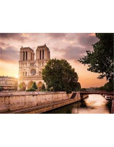 Pz Notre-Dame crépuscule 1000p -nathan
