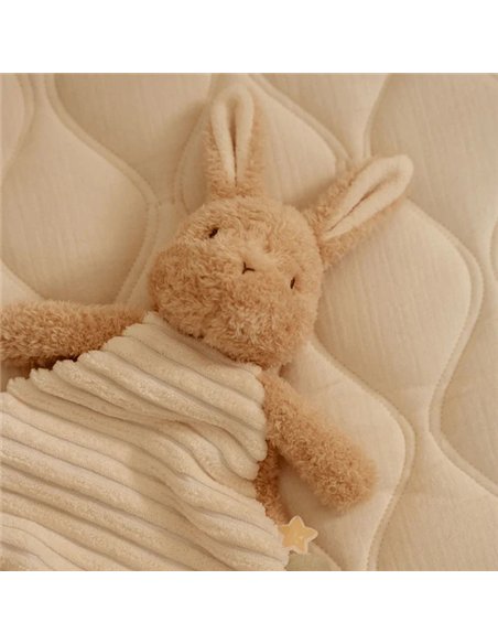 Doudou Lapin - Newborn - little dutch