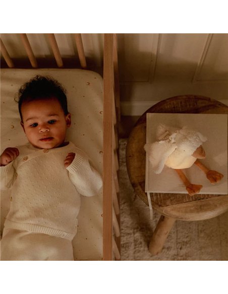 Peluche musicale et lumineuse Oie - Newborn - little dutch