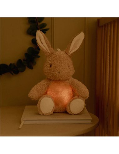 Peluche musicale et lumineuse Lapin - Newborn - little dutch