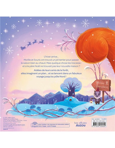 LA LETTRE AU PÈRE NOËL- Auzou