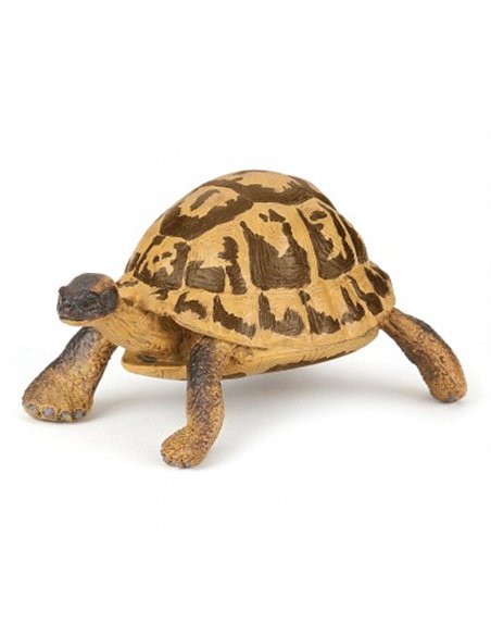TORTUE D'HERMANN - Papo