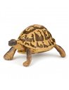 TORTUE D'HERMANN - Papo