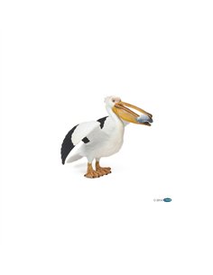 PELICAN - papo