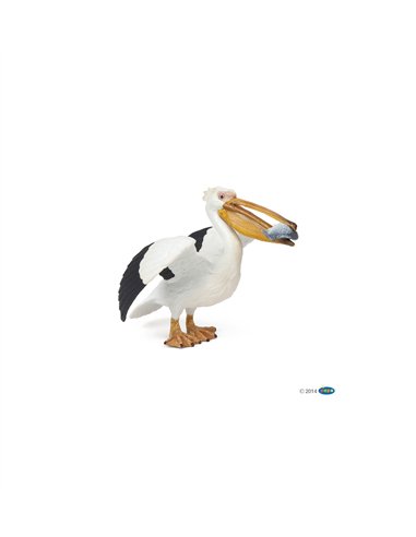 PELICAN - papo