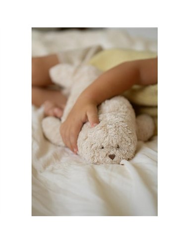 Moonie - phoque nature bio sable