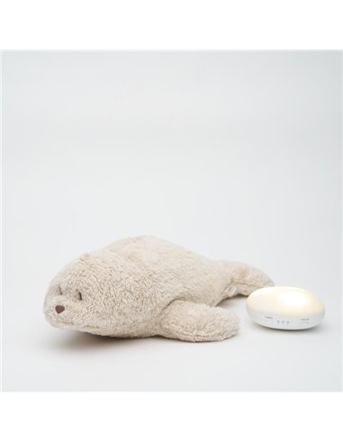 Moonie - phoque nature bio sable