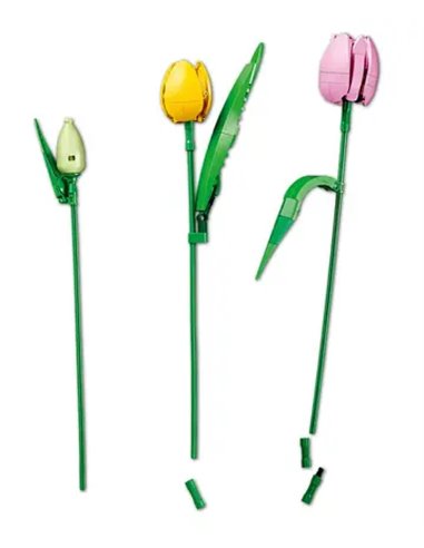 LEGO BOTANICALS 11501 - LE BOUQUET DE TULIPES