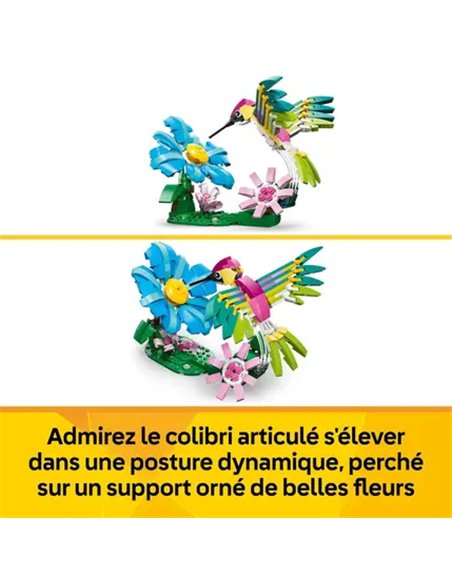 LEGO CREATOR 31384 - ANIMAUX SAUVAGES : LE COLIBRI COLORE