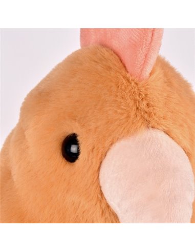 Poule orange 50cm - Histoire d'ours