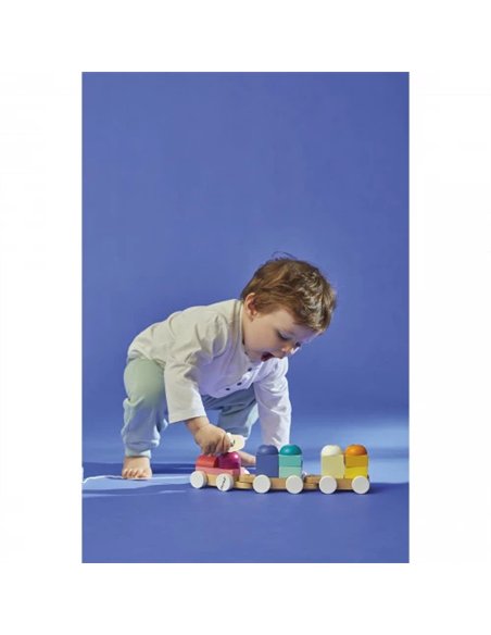 Petit Train Mouton Zigolos - Janod