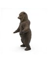 Grizzly - Papo