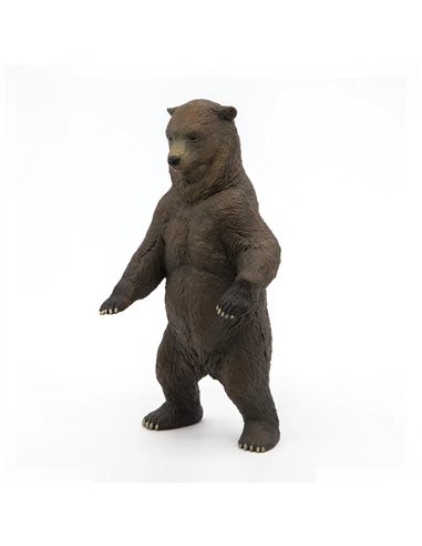 Grizzly - Papo