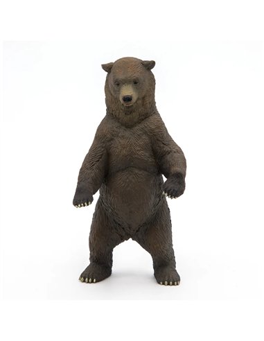 Grizzly - Papo