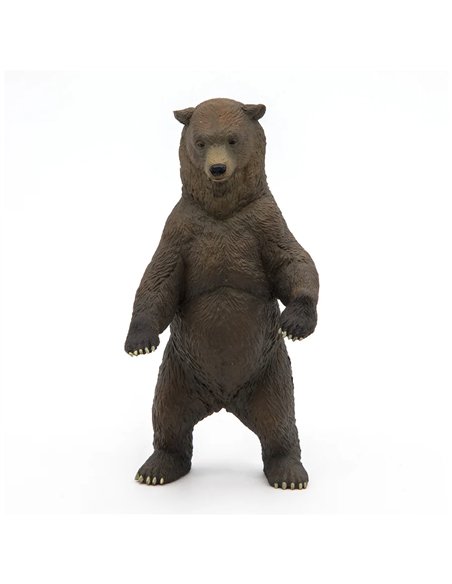 Grizzly - Papo