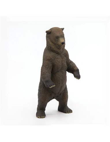 Grizzly - Papo