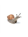 Figurine Escargot - Papo