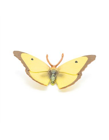 Figurine Papillon Souci - Papo