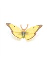 Figurine Papillon Souci - Papo